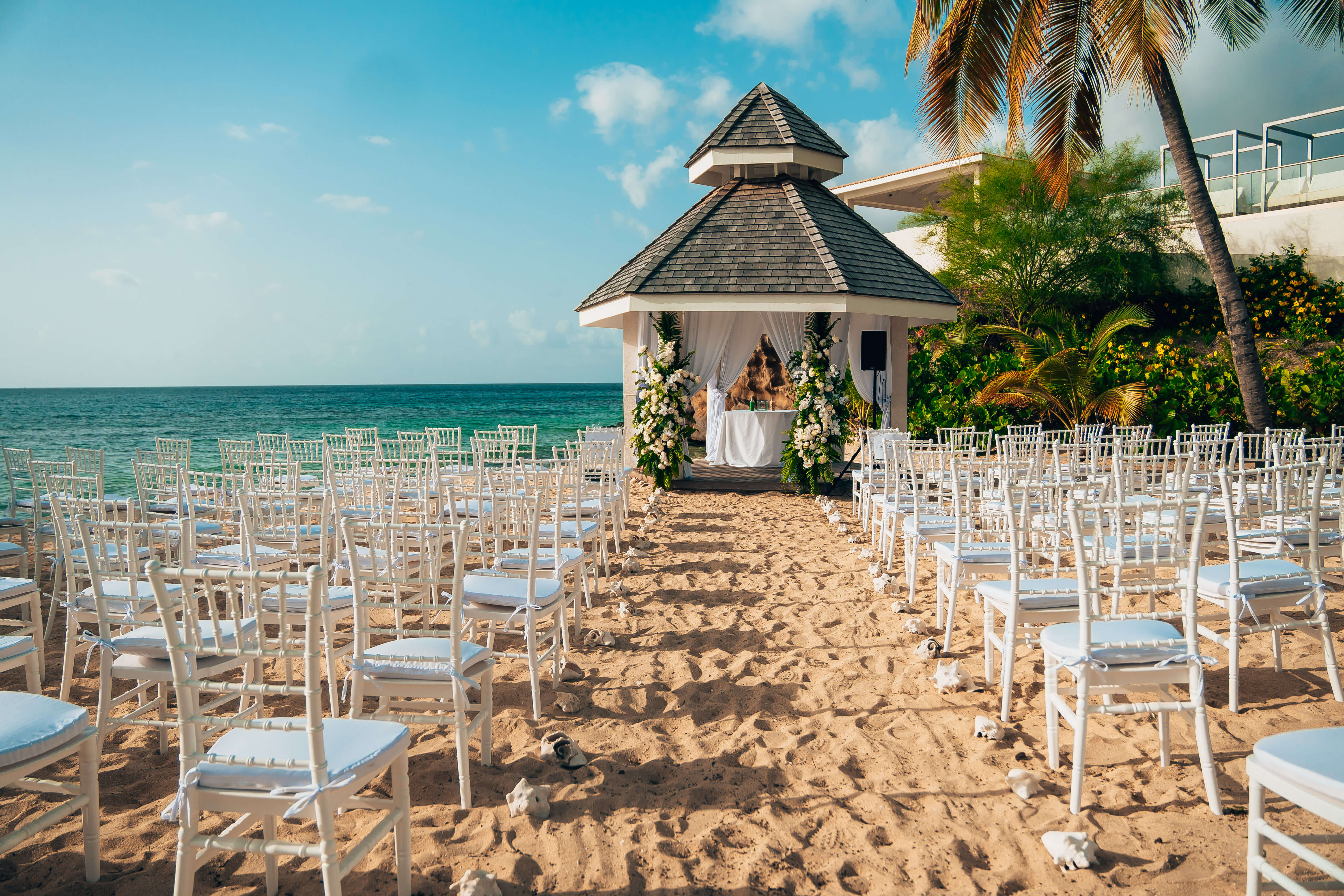 637972852776542306-63d941ed9717a-optimized