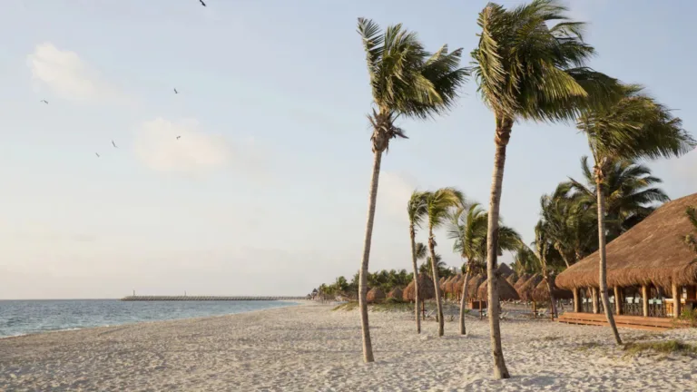 Finest Playa Mujeres (4)